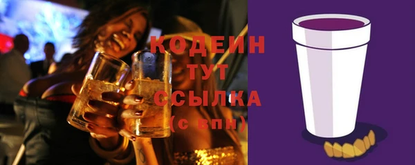 шишки Алзамай