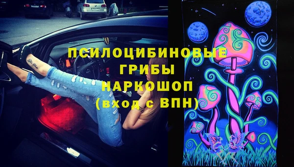 шишки Алзамай