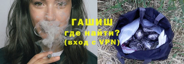 шишки Алзамай