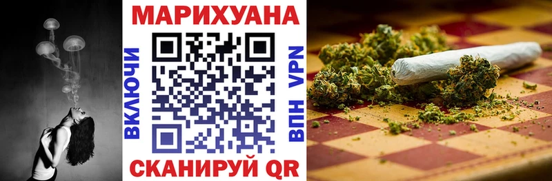где купить Сенгилей МАРИХУАНА SATIVA & INDICA